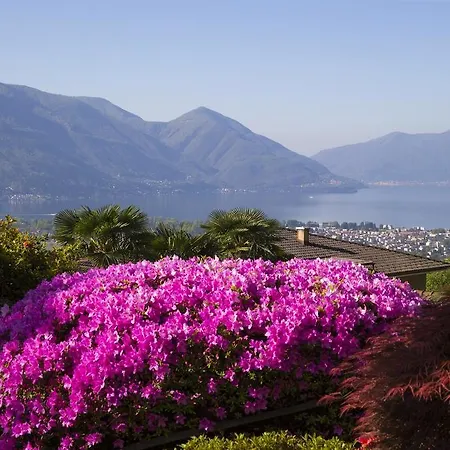 Mirafiori Hotel