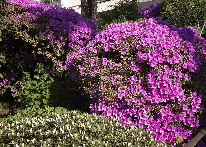 Mirafiori Отель Orselina