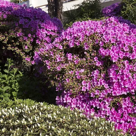 Mirafiori Hotel Orselina